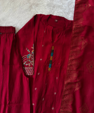 Designer Roman Silk Anarkali Pant Set with Banarasi Dupatta – NF3150 (2)